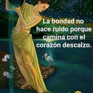 Meet your Posher, Kerry